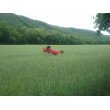 fotografia